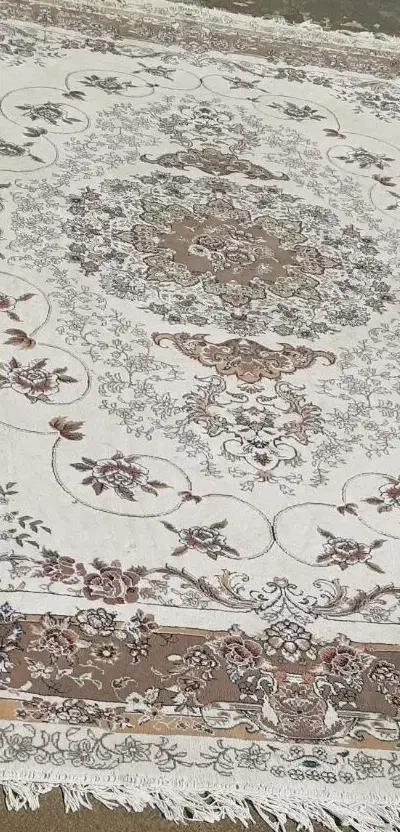 فرش ۲در۳|فرش|بناب, |دیوار