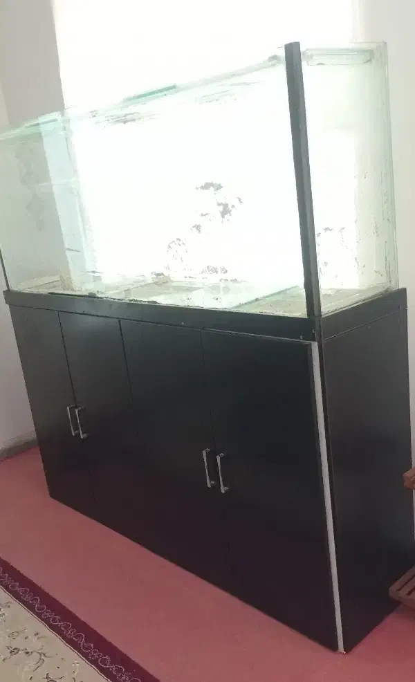 آکواریوم با کمدام دی اف|ماهی|شازند, |دیوار