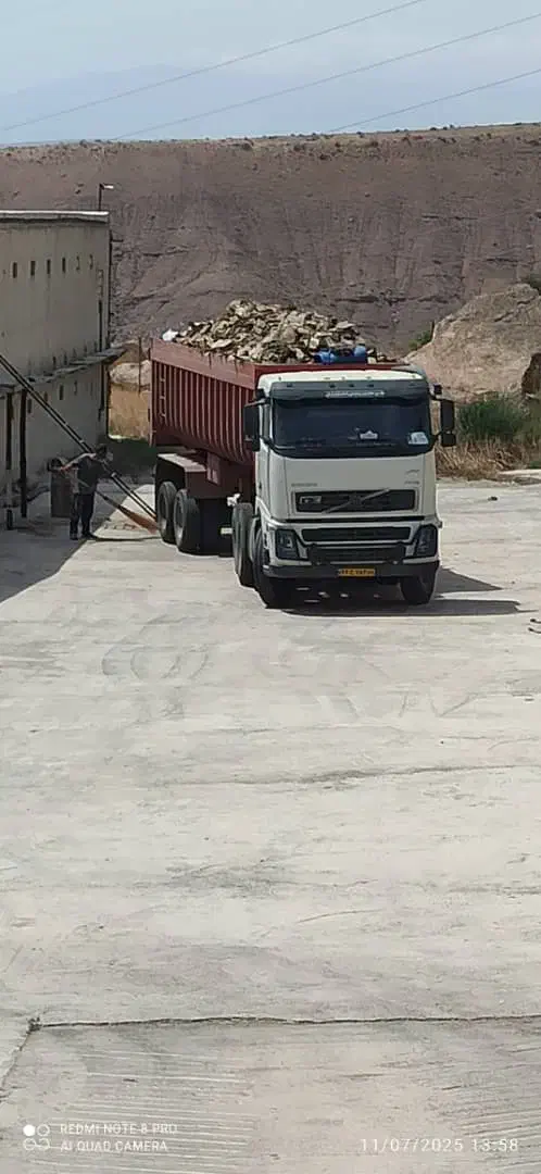 کودمرغی|خدمات باغبانی و درختکاری|حاجی آباد, |دیوار