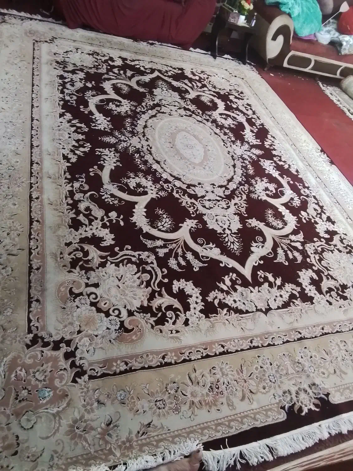 قالی ۱۲ متری گل برجسته نخ ضخیم|فرش|شیراز, تاچارا|دیوار