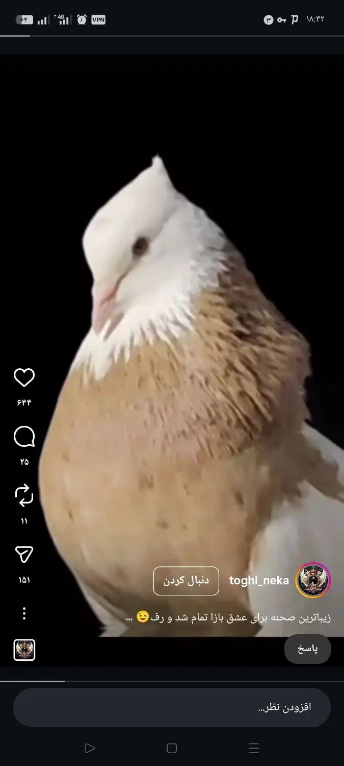 واگذاری.مرغ فروشی|فروشگاه و مغازه|دورود, |دیوار