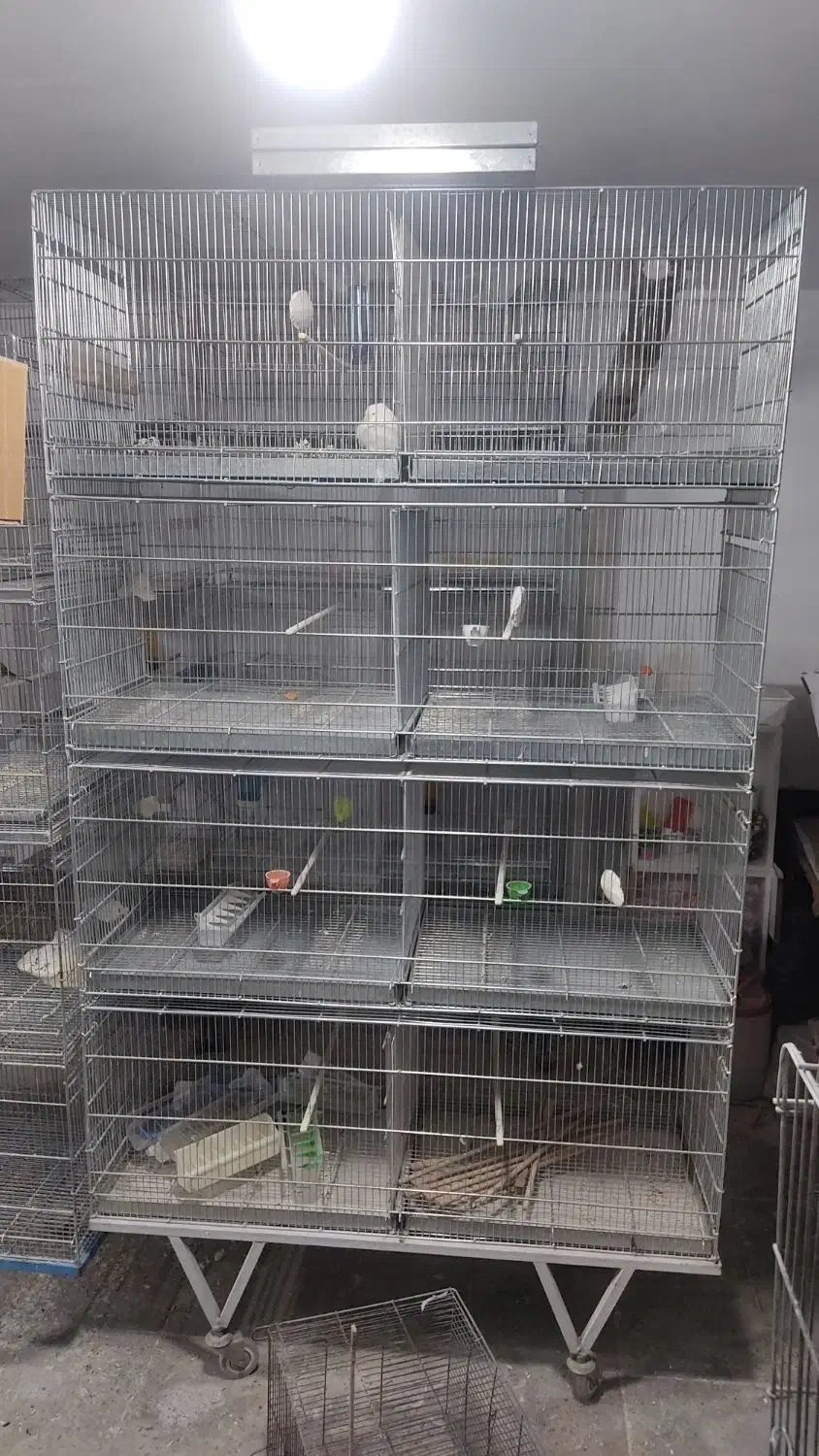 قفس هشت خان بازاری و پژاوند|لوازم جانبی حیوانات|کرج, شهرک بنفشه|دیوار