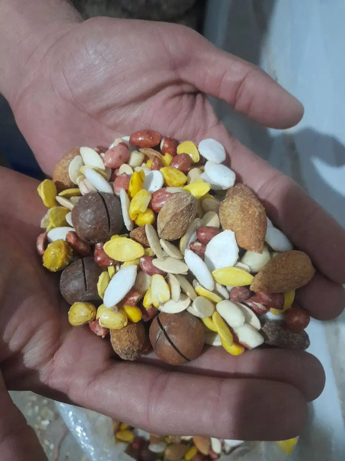 اجیل شب عیدی|خوردنی و آشامیدنی|رباطکریم, مسکن مهر آبشناسان|دیوار