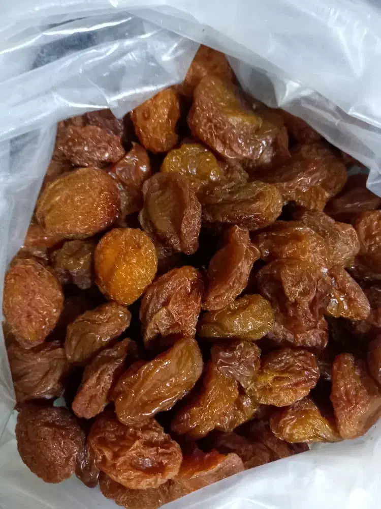 آلو بخارای جوشاندن و فرآورده های آلو(رب - ژله)|خوردنی و آشامیدنی|شیراز, شهرک صدا و سیما|دیوار