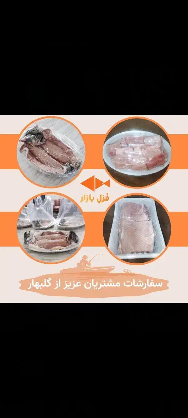 ماهی قزل الا|ماهی|طرقبه, |دیوار