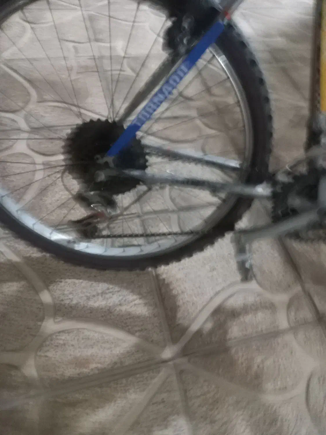 دوچرخه۲۶|دوچرخه، اسکیت، اسکوتر|ماهدشت, |دیوار