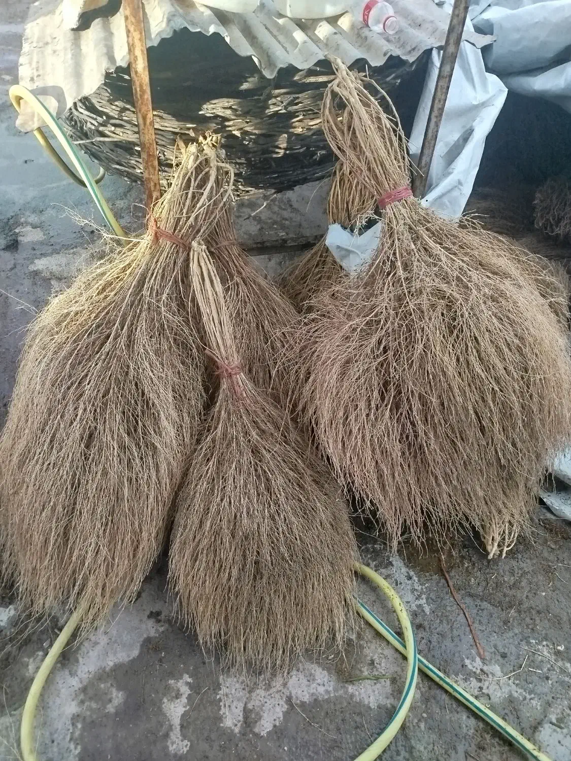 جارو محلی خوب|لوازم نظافت|نیشابور, شهید جعفری|دیوار