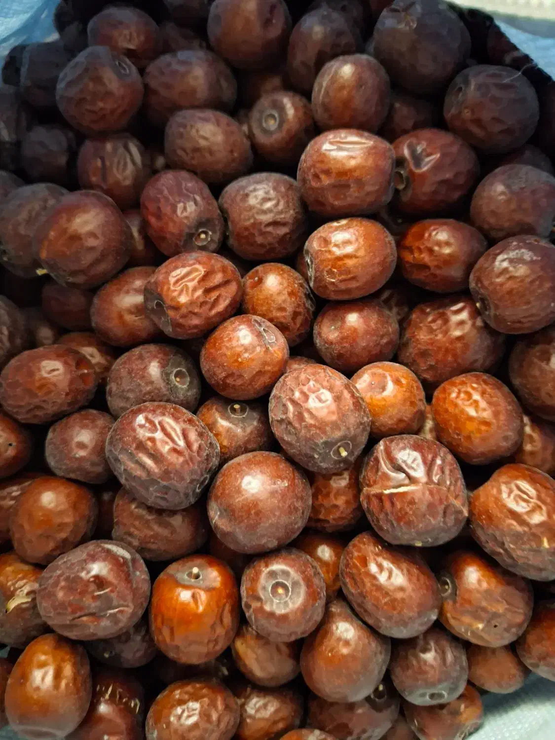 عناب|خوردنی و آشامیدنی|شیراز, شهرک بزین|دیوار