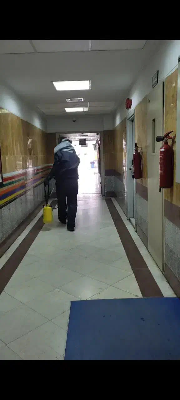 خدمات تخصص سمپاشی حشرات سوسک رتیل عقرب جوندگان موش|خدمات نظافت|قم, نوبهار|دیوار