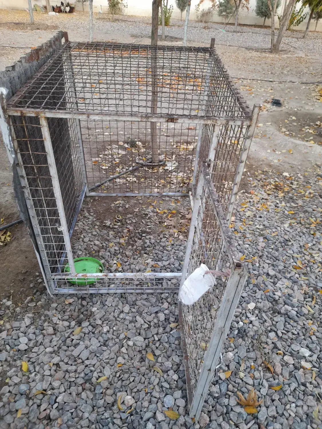 قفس اهنی|لوازم جانبی حیوانات|گلبهار, شهر جدید گلبهار|دیوار