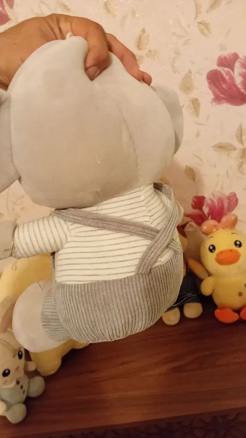 ۵ عدد عروسک خارجی پارچه نانو|اسباب‌‌بازی|سنندج, |دیوار