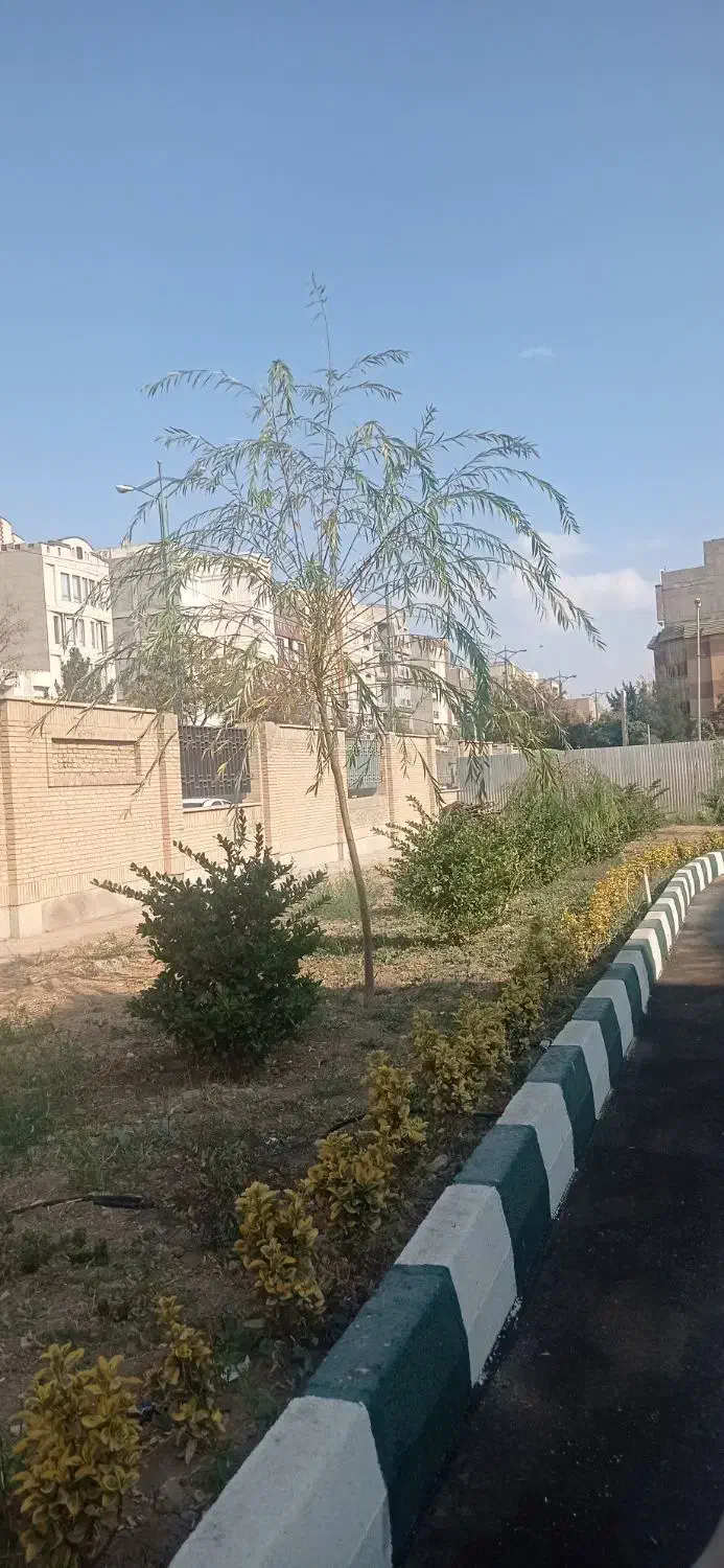 باز سازی منزل مسکونی شما|خدمات پیشه و مهارت|قزوین, |دیوار