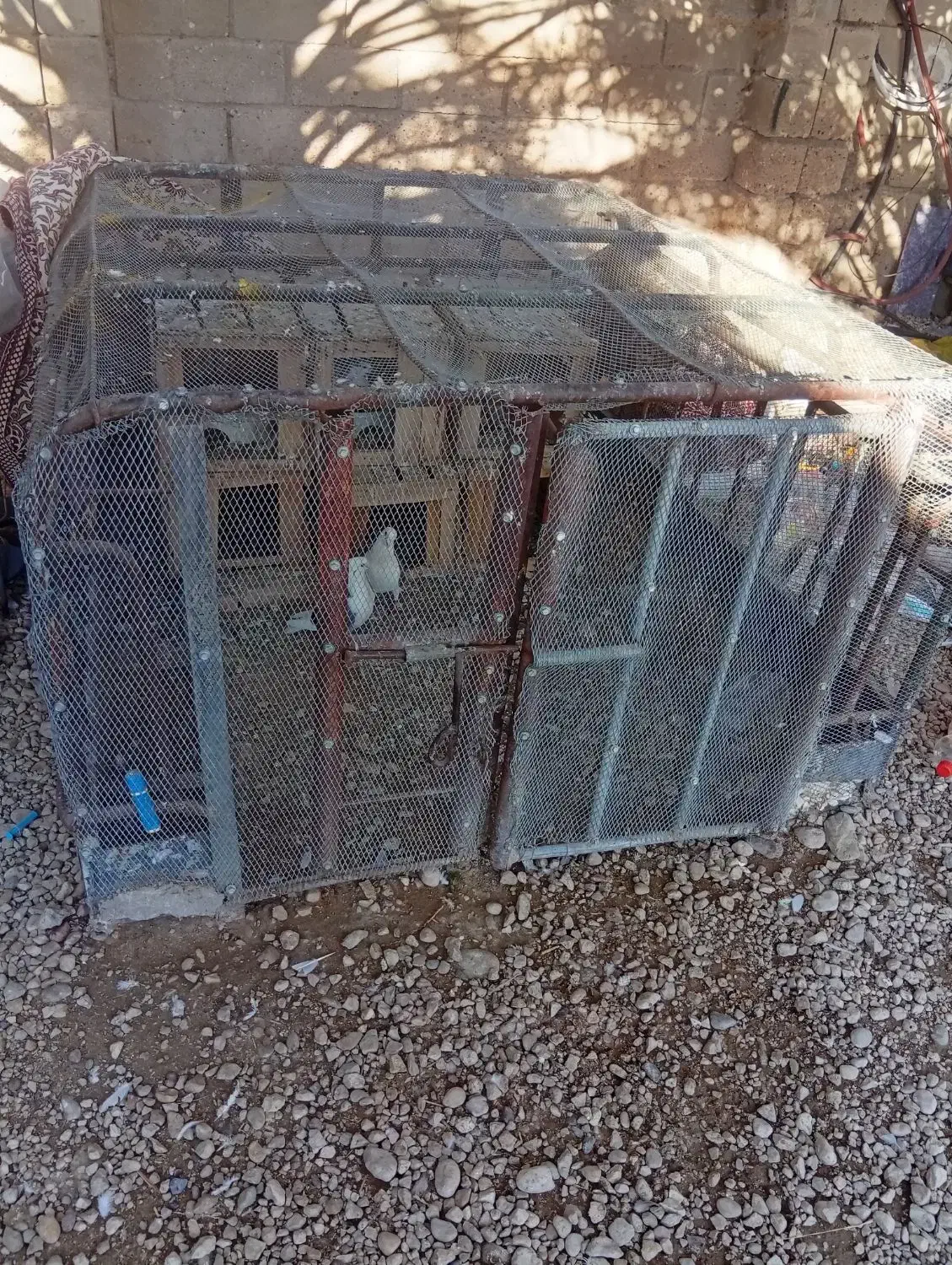 قفس|لوازم جانبی حیوانات|کردیان, |دیوار