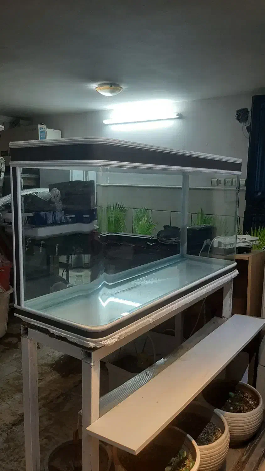 آکواریوم های کوچکتر از ۱ متر یا حدود ۱ متر متنوع|ماهی|قم, سراجه (۱۵ خرداد)|دیوار