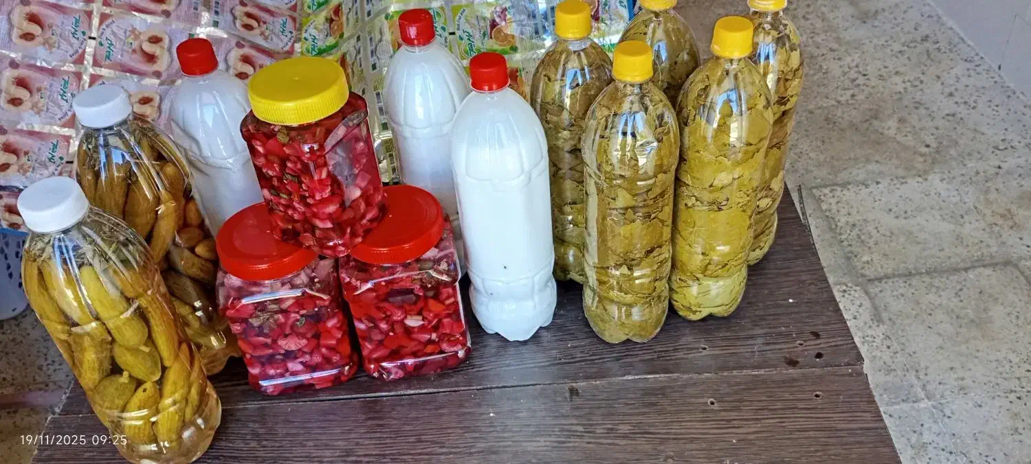 برگ مو دبه ای 135|خوردنی و آشامیدنی|باینگان, |دیوار