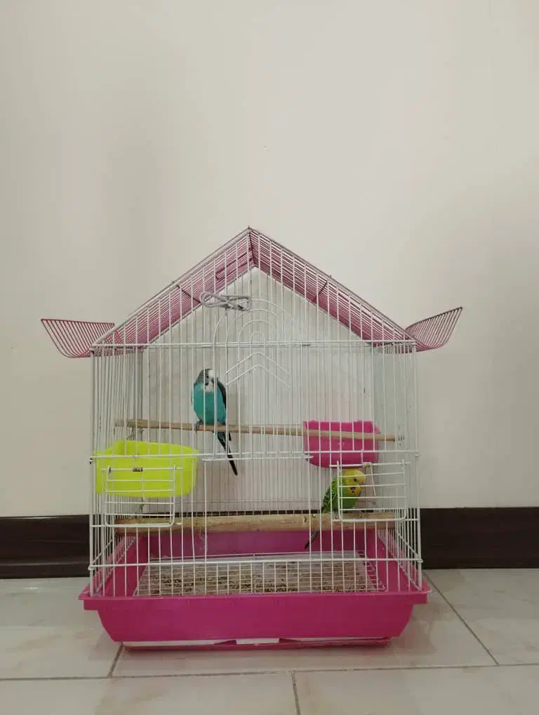 قفس پرنده درحد نو بزرگ و کوچک|لوازم جانبی حیوانات|پردیس, فاز ۱۱|دیوار