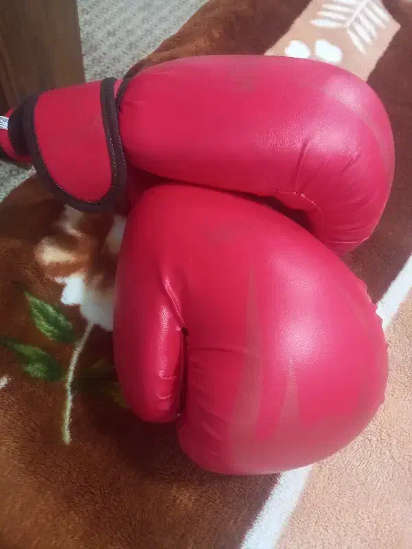 دستکش بوکس و کیک بوکس از جنس فوم جنس خوب|تجهیزات ورزشی|تهران, شمیراننو|دیوار