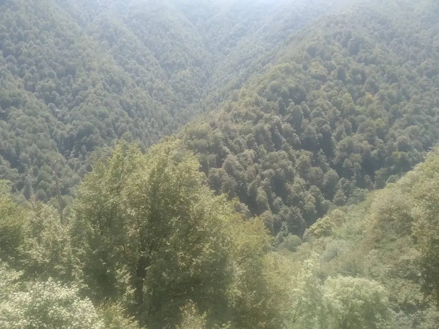 نقاشی ساختمانی در ساوه غرق آباد نوبران و حومه|خدمات پیشه و مهارت|نوبران, |دیوار