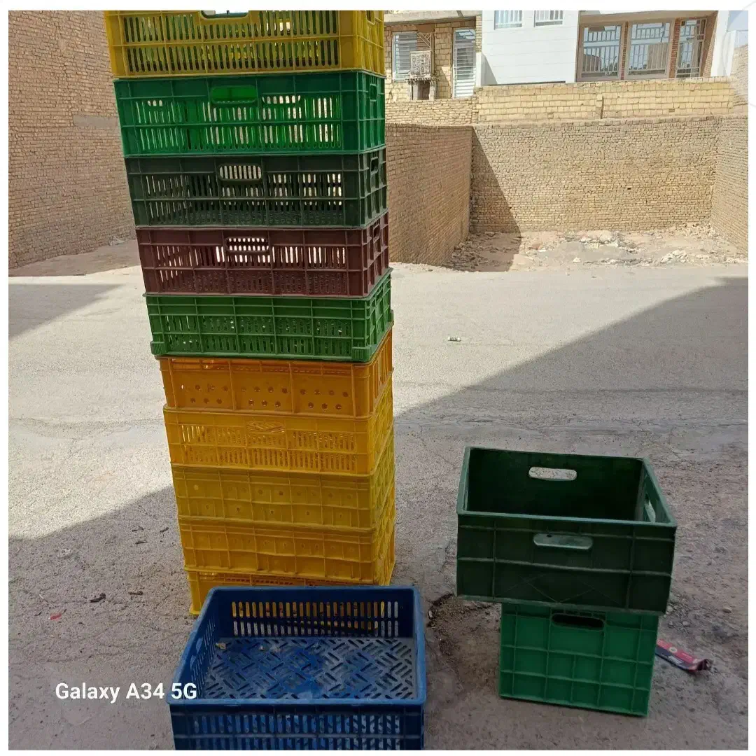 سبد سالم تمیز|ظروف نگهدارنده، پلاستیکی، یک‌بارمصرف|یزد, |دیوار