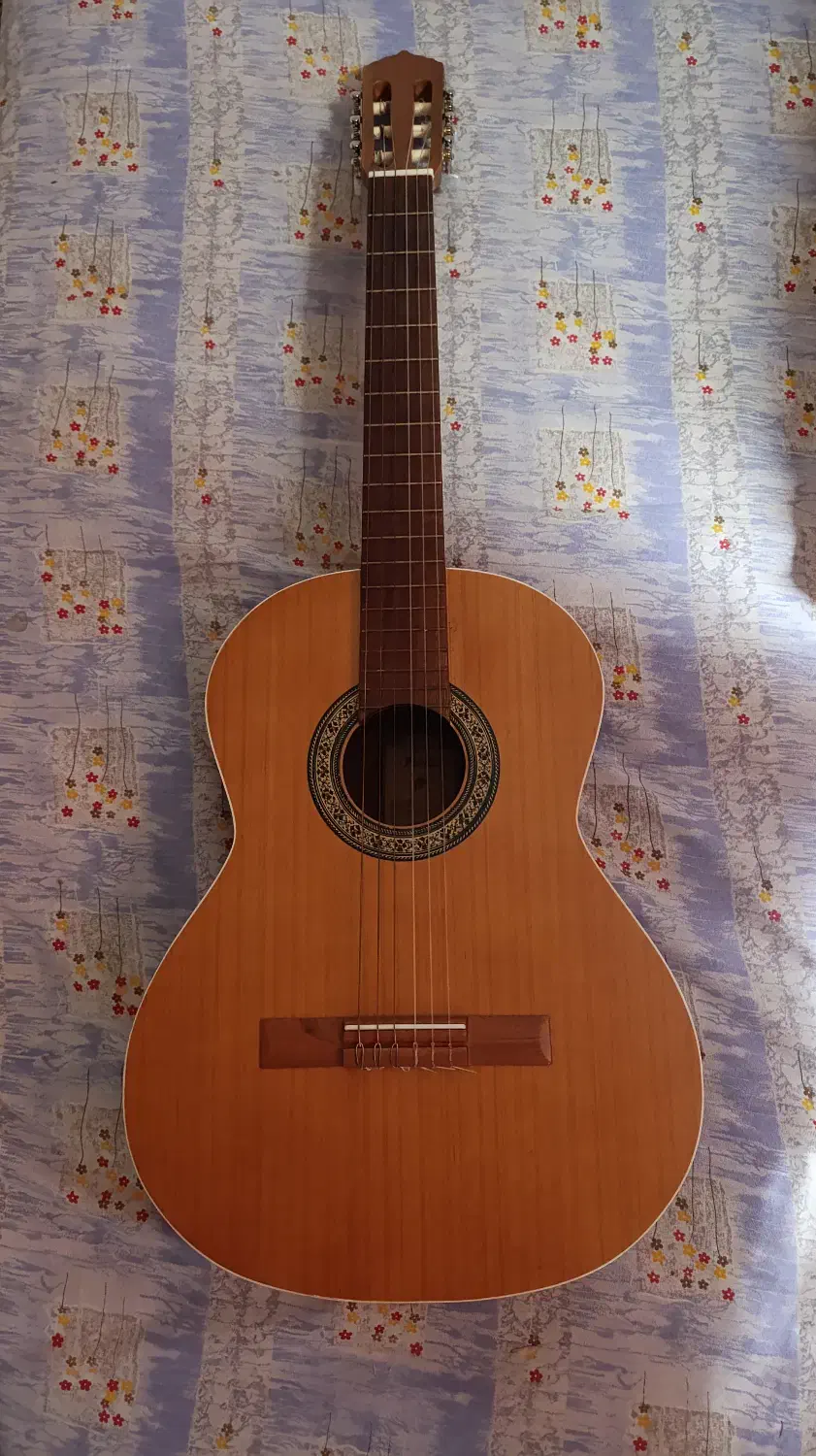 گیتارm5|گیتار، بیس، امپلیفایر|مینودشت, |دیوار