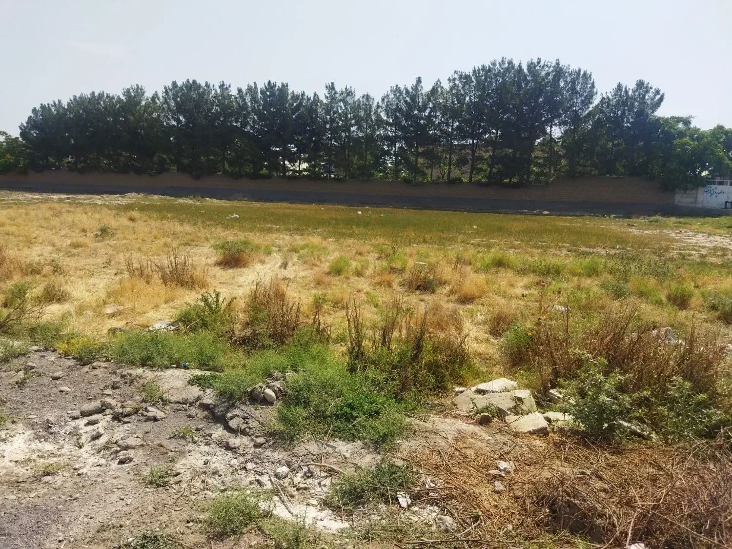 زمین ملکی 600متر بلوار توس 117|فروش زمین و ملک کلنگی|مشهد, صیدآباد|دیوار