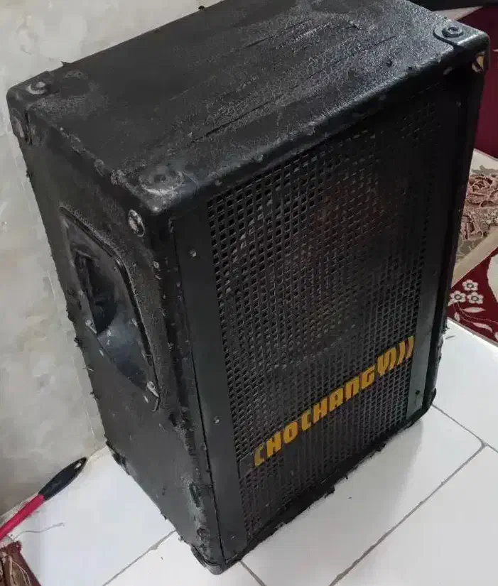 باند بزرگ اکوچنگ|سیستم صوتی خانگی|مشهد, قائم|دیوار