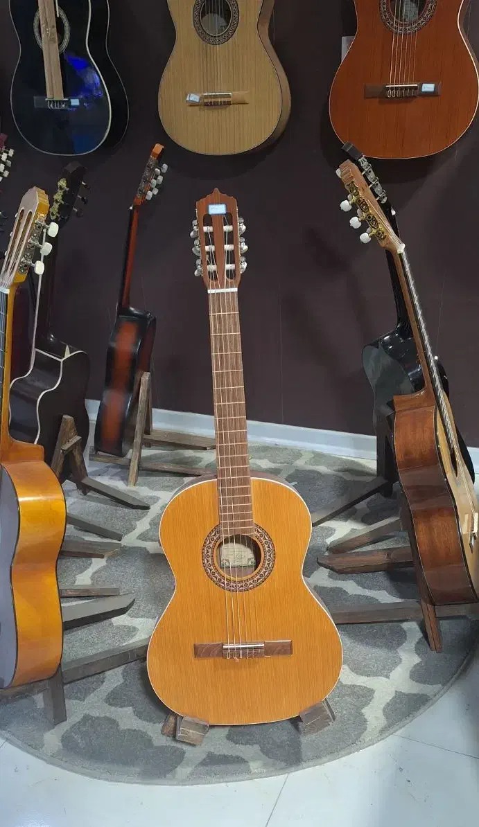 گیتار پارسی(نو)|گیتار، بیس، امپلیفایر|بروجرد, |دیوار