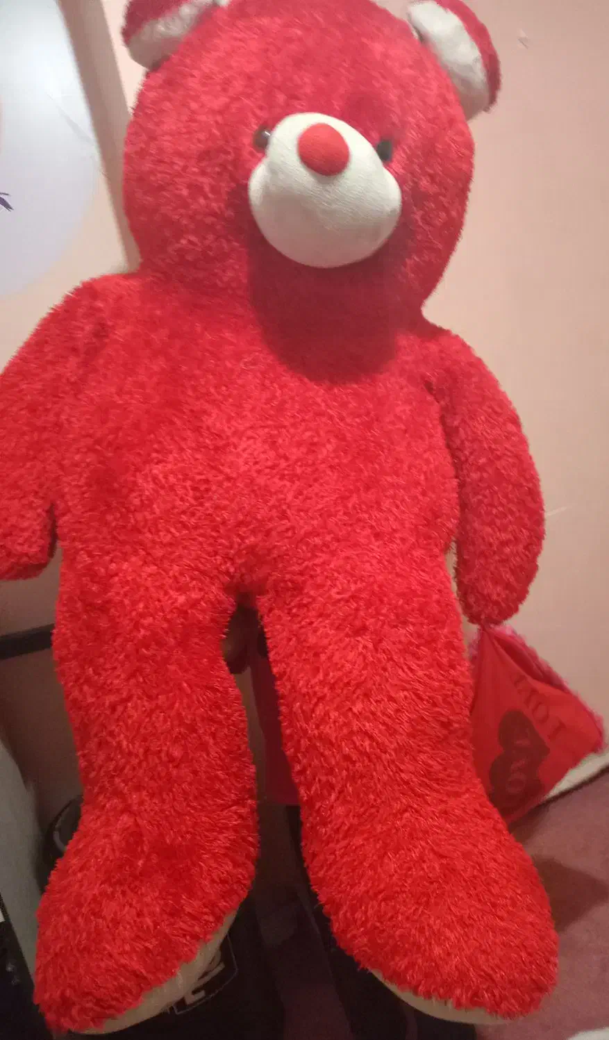 عروسک خرسی|اسباب‌‌بازی|ری, علایین|دیوار