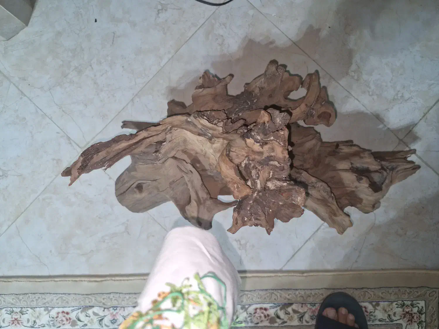 چوب آبنوس بزرگ و درجه یک مناسب دیسکس|ماهی|تهران, آذری|دیوار