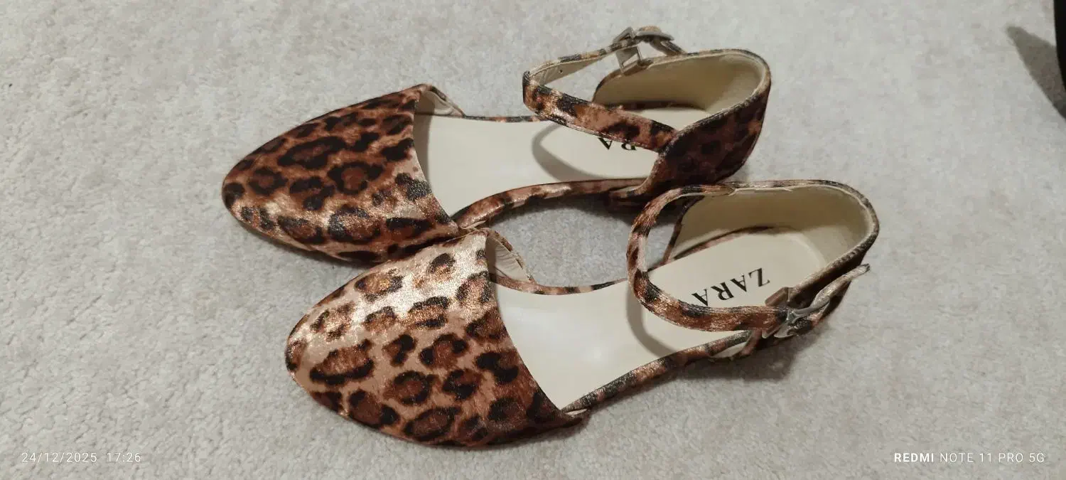 کفش مجلسی|کیف، کفش، کمربند|رشت, گیل|دیوار