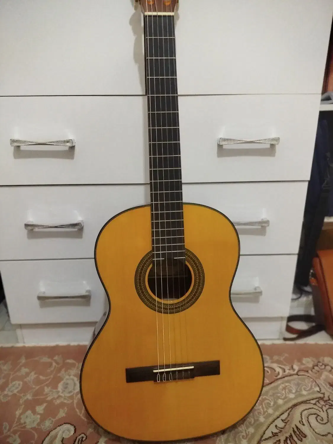 گیتار Pallado اصل اسپانیایی|گیتار، بیس، امپلیفایر|قزوین, |دیوار