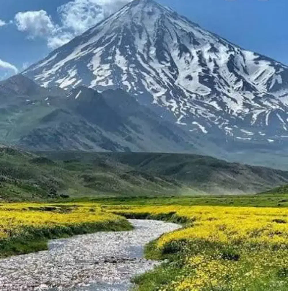 زمین با سند شش دانگ دماوند نصف قیمت|فروش زمین و ملک کلنگی|تهران, تهرانپارس شرقی|دیوار