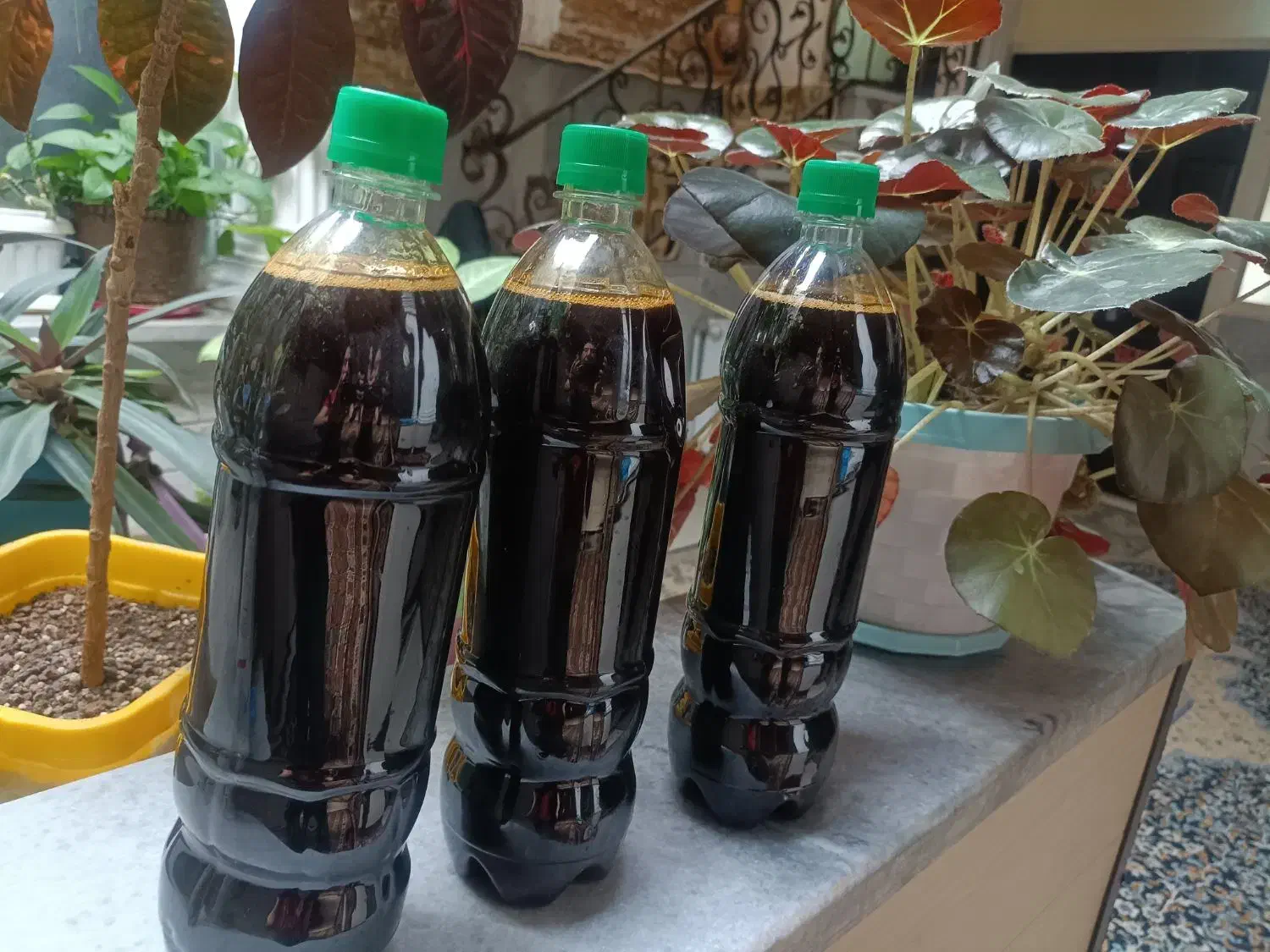 شیره انگور|عمده‌فروشی|خرمدره, |دیوار