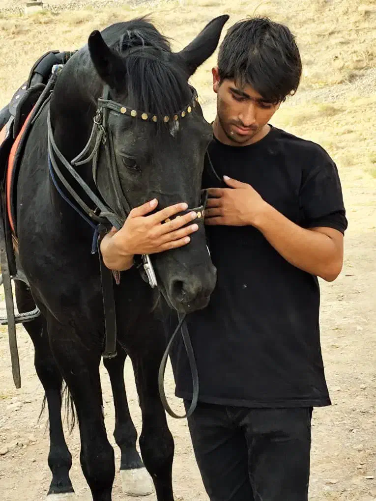 کرایه اسب و آموزش اسب سواری و سوارکاری|اسب و تجهیزات اسبسواری|تبریز, |دیوار