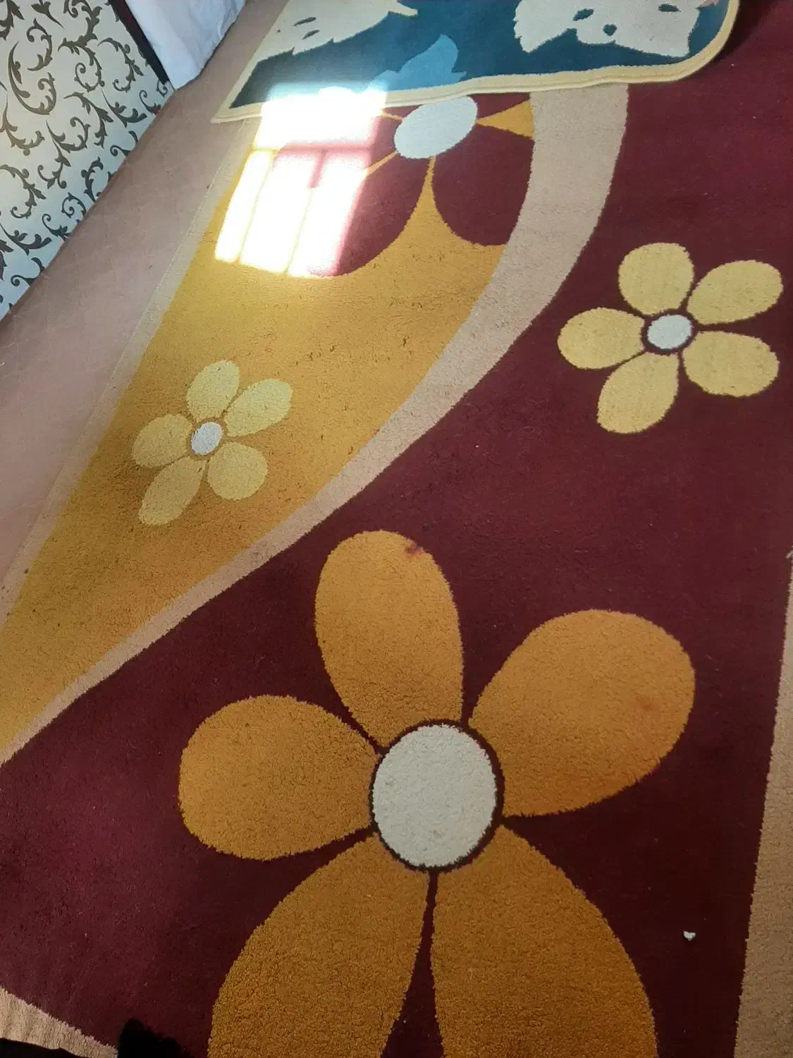 گلیم|گلیم، جاجیم، گبه|گلبهار, شهر جدید گلبهار|دیوار