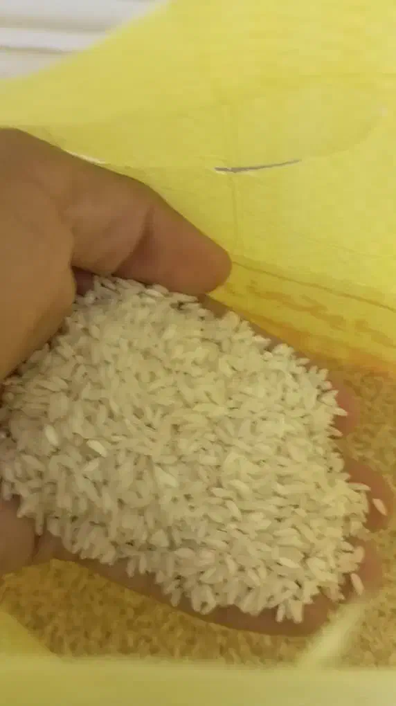 برنج‌عنبر‌بو|خوردنی و آشامیدنی|تهران, فرودگاه مهرآباد|دیوار