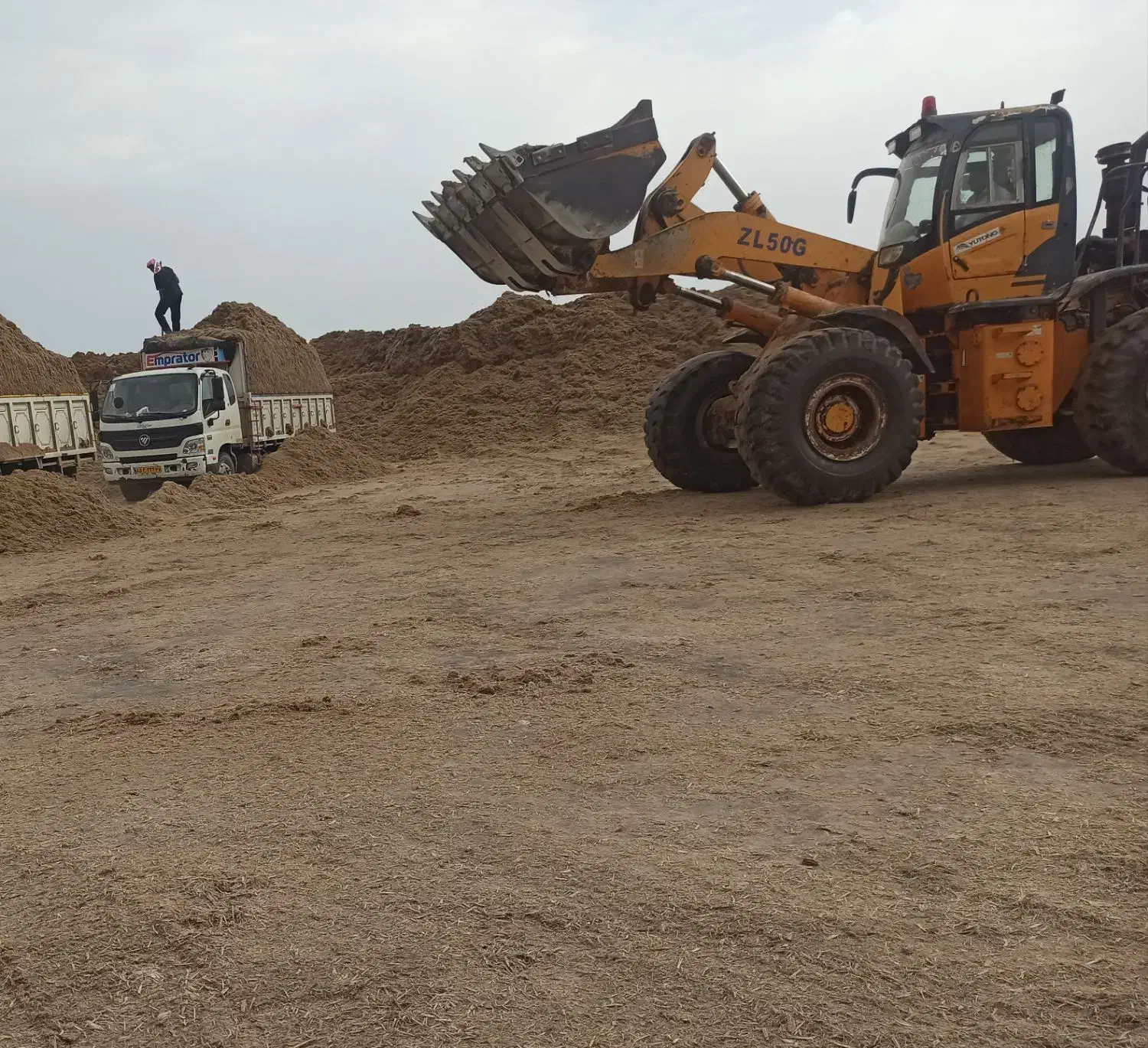 فروش کاه نیشکر|لوازم جانبی حیوانات|میاندوآب, |دیوار