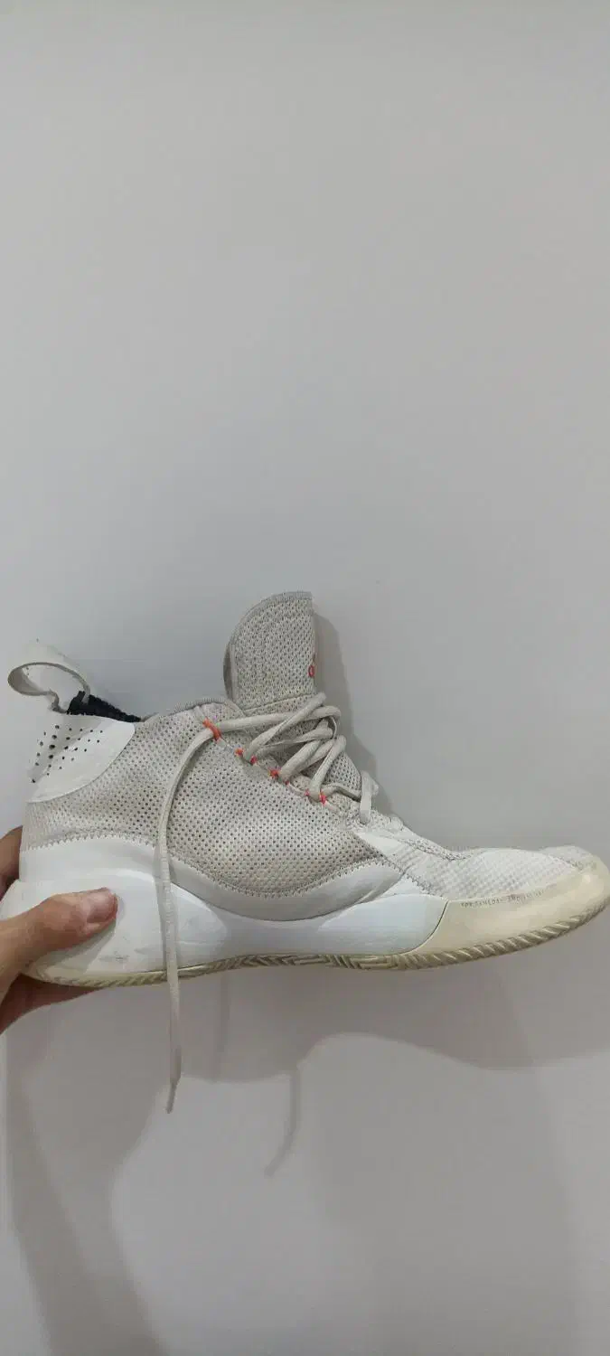 کفش والیبال adidasدرحد نو|کیف، کفش، کمربند|مشهد, کارمندان دوم|دیوار