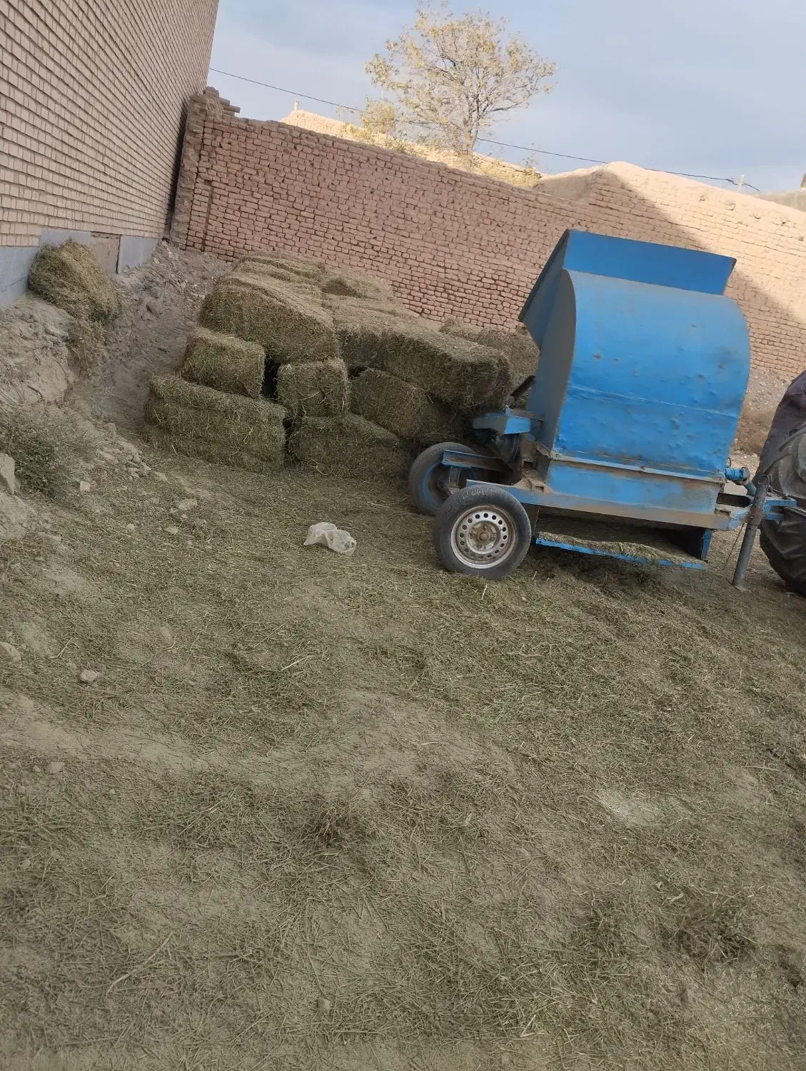کاه بیده.کاه یونجه درجه یک|خدمات باغبانی و درختکاری|اسحاق آباد, |دیوار