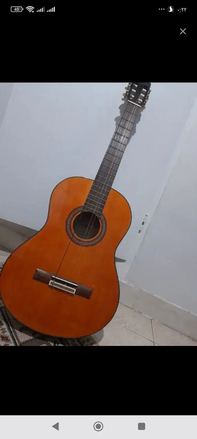 گیتار در حد نوی نو|گیتار، بیس، امپلیفایر|گنبد کاووس, |دیوار