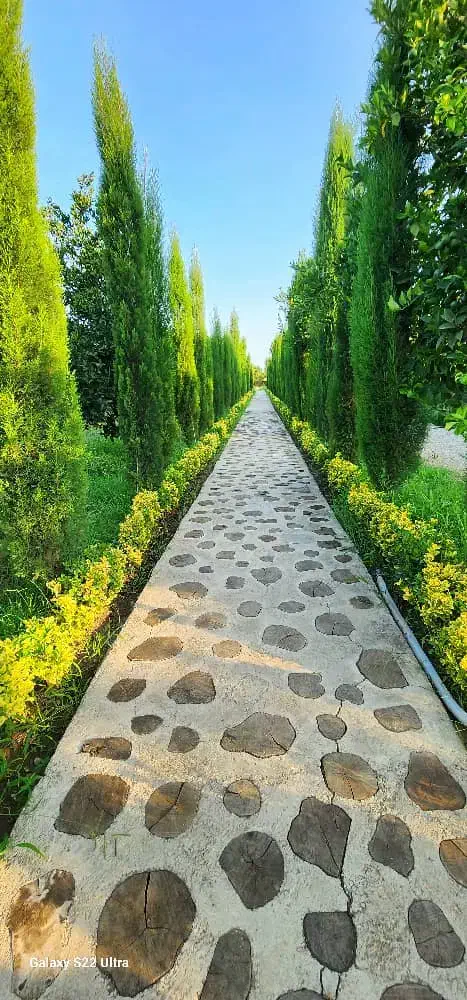 خانم های عزیز این گردش پاییزی رو از دست ندید|تور و چارتر|رشت, گلسار|دیوار