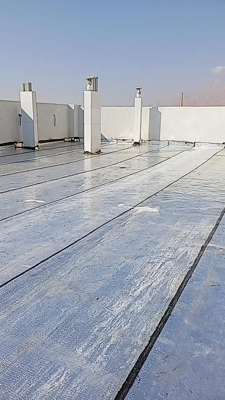 ایزوگام دلیجان|خدمات پیشه و مهارت|شاهرود, |دیوار