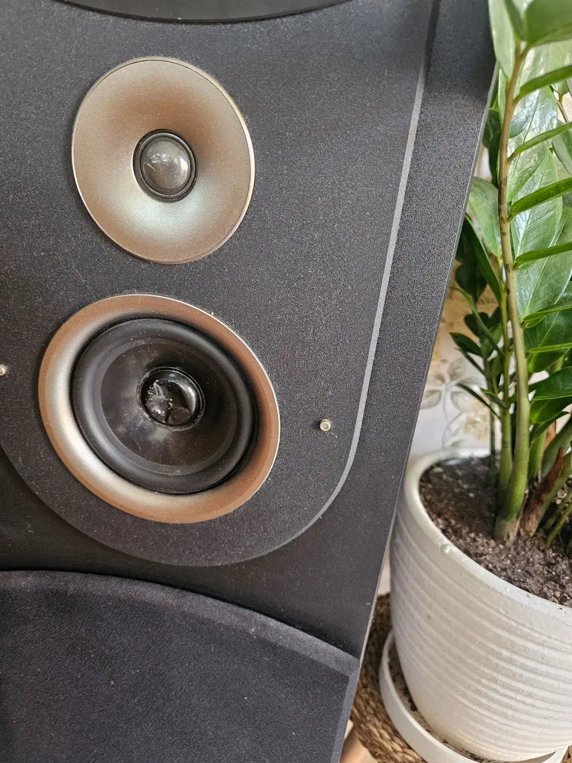 باند مارشال|سیستم صوتی خانگی|صفادشت, |دیوار