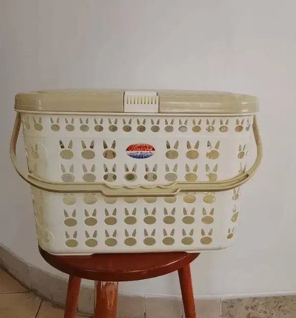 سبد|میز و صندلی غذاخوری|همدان, |دیوار