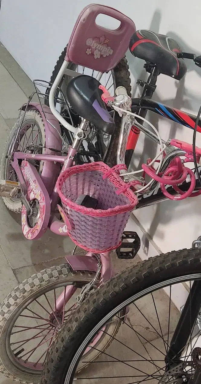 دوچرخه16 دخترانه|دوچرخه، اسکیت، اسکوتر|پرند, فاز ۵|دیوار