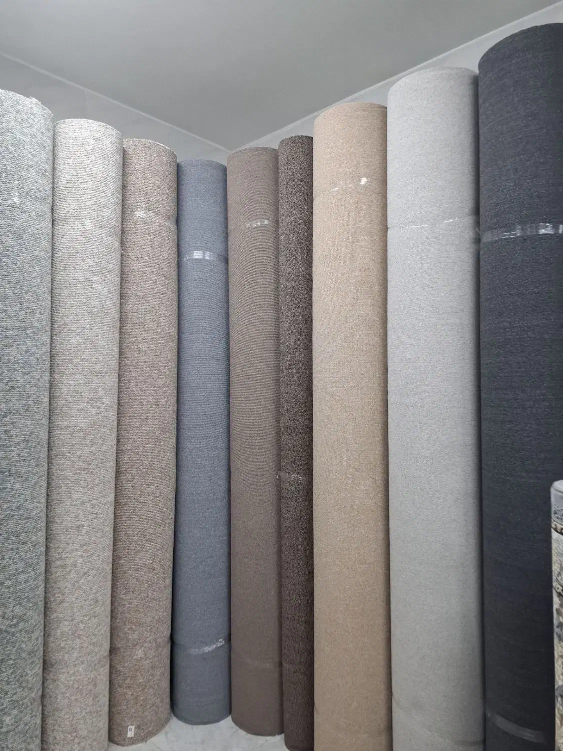 موکت پرز بلند تافینگ|موکت|مشهد, چهنو|دیوار