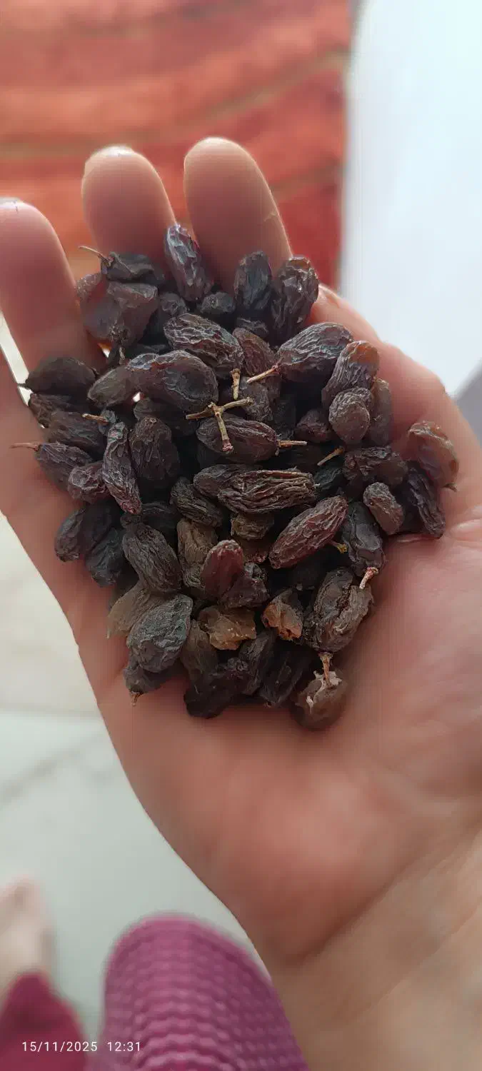 کشمش آفتابی بوانات|خوردنی و آشامیدنی|شیراز, مسکن مهر شیراز|دیوار