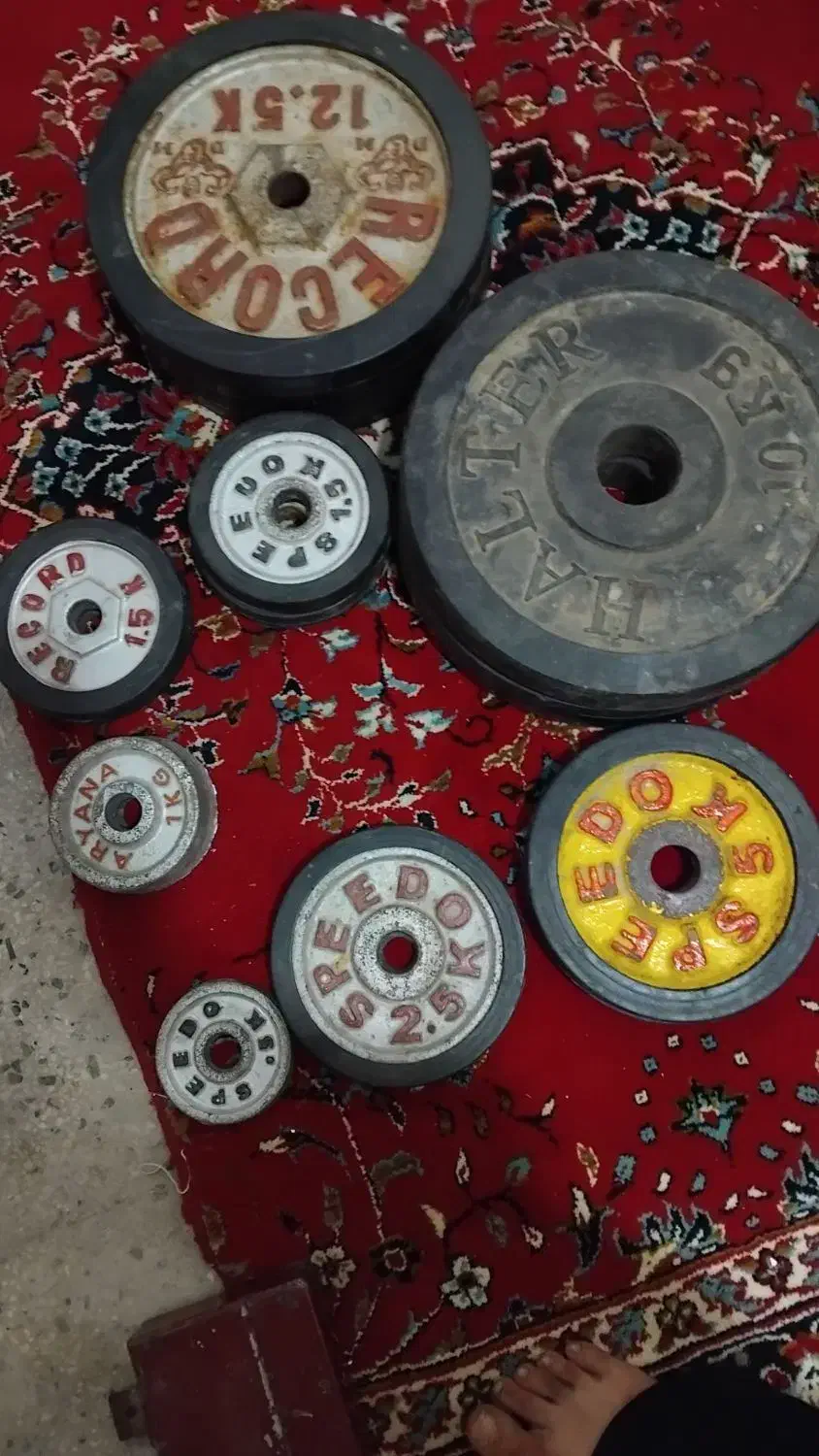 وزنه|تجهیزات ورزشی|یزد, |دیوار