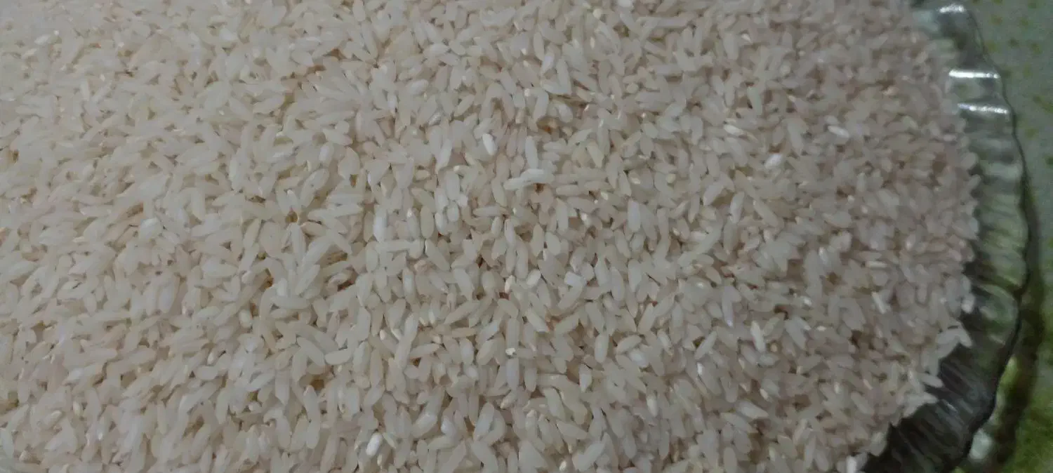 برنج عنبربو دره شهر|خوردنی و آشامیدنی|دره شهر, |دیوار