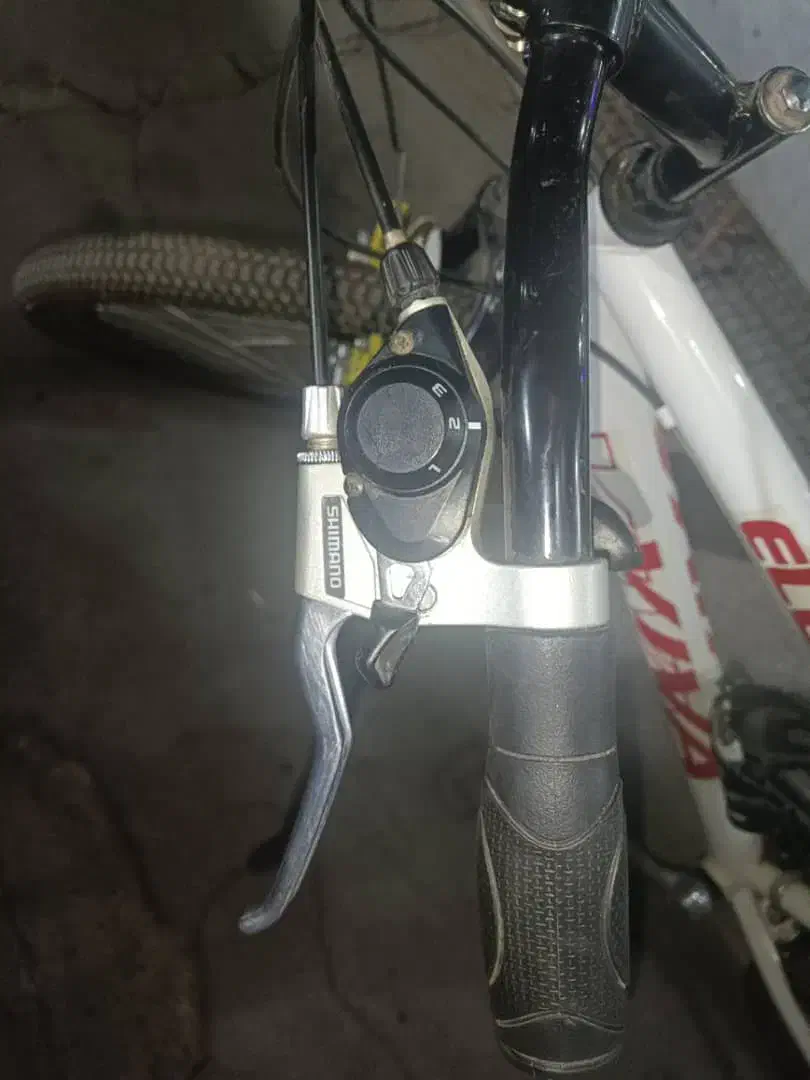 دوچرخه ویوا اصل|دوچرخه، اسکیت، اسکوتر|فردیس, فردیس|دیوار